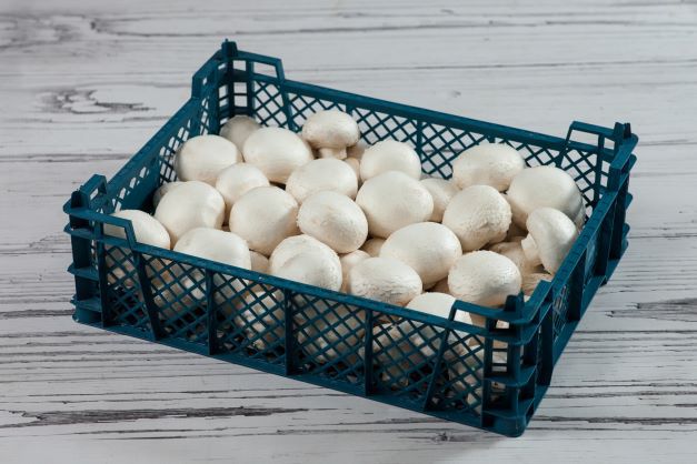 Zdjęcie główne podstrony