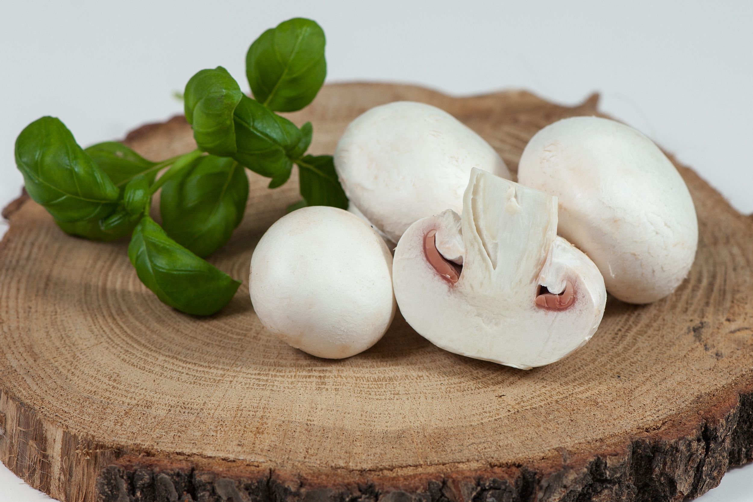 Zdjęcie główne podstrony