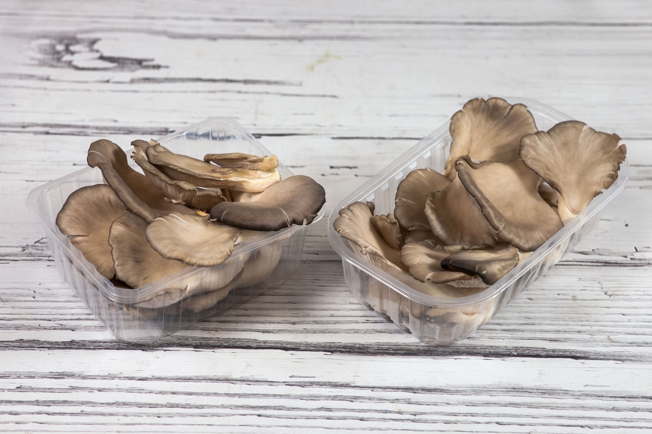 Zdjęcie główne podstrony