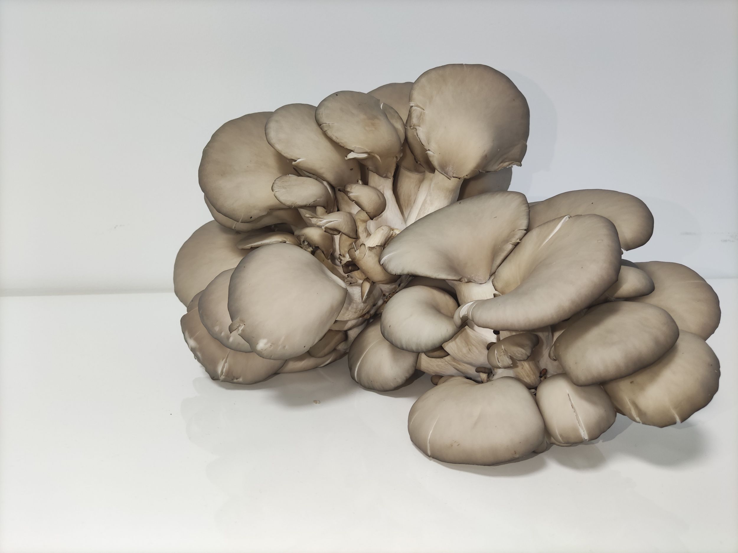 Zdjęcie 1675436392401.jpg